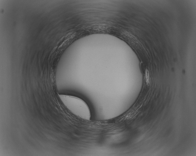 X0000067391107200603310948