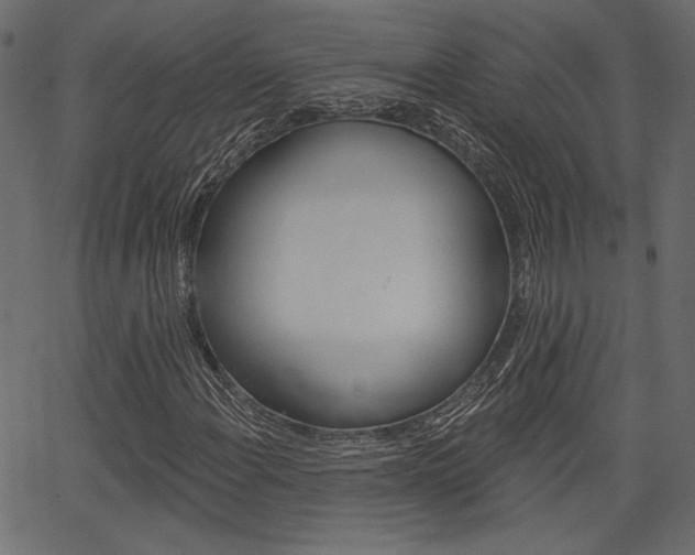 X0000067391108200603310948