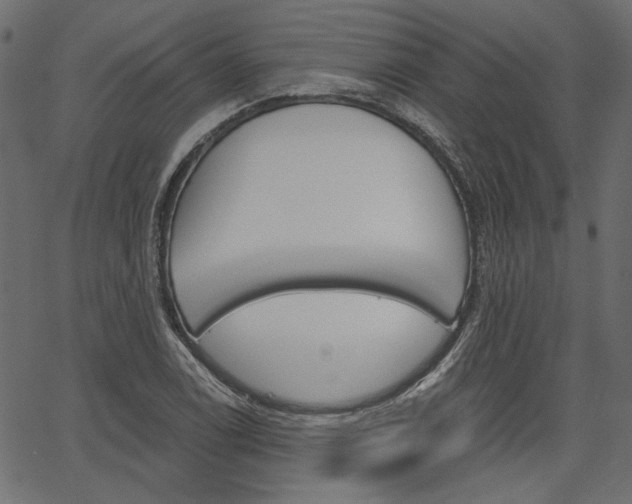 X0000067391122200603310949
