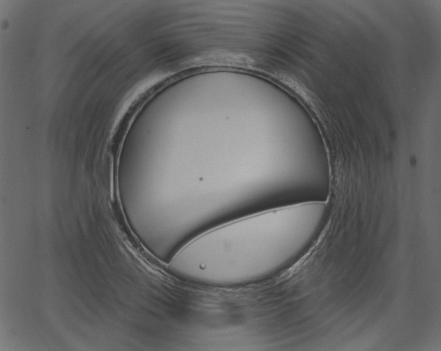 X0000067391123200603310949