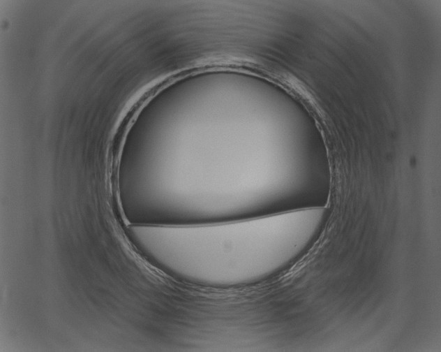 X0000067391124200603310949