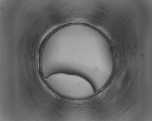 X0000067391126200603310949