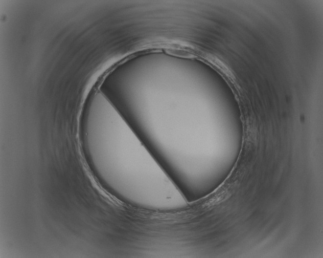 X0000067391128200603310949