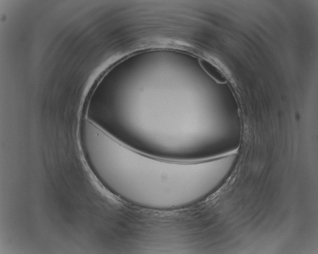X0000067391136200603310949