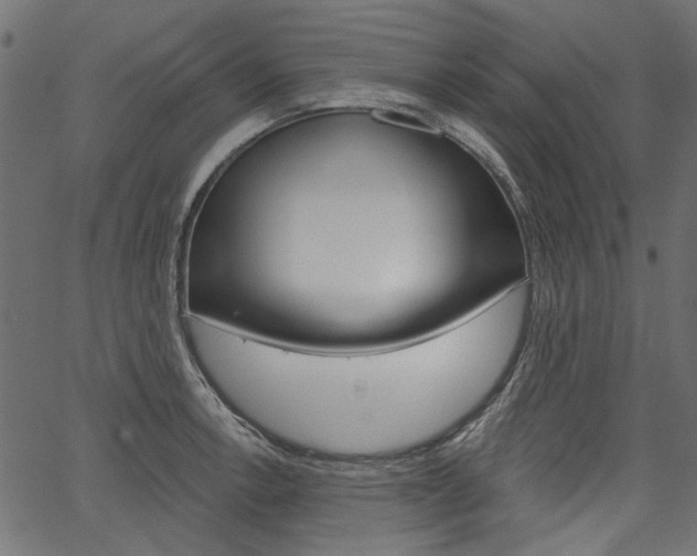 X0000067391138200603310949