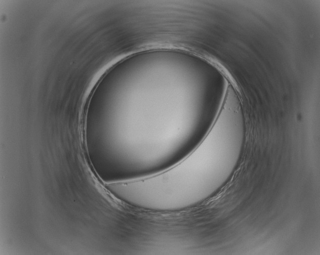 X0000067391148200603310949