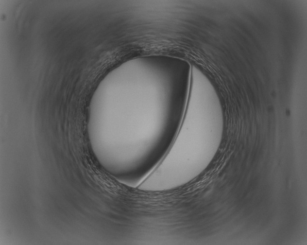 X0000067391153200603310948