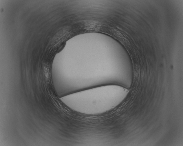 X0000067391154200603310948