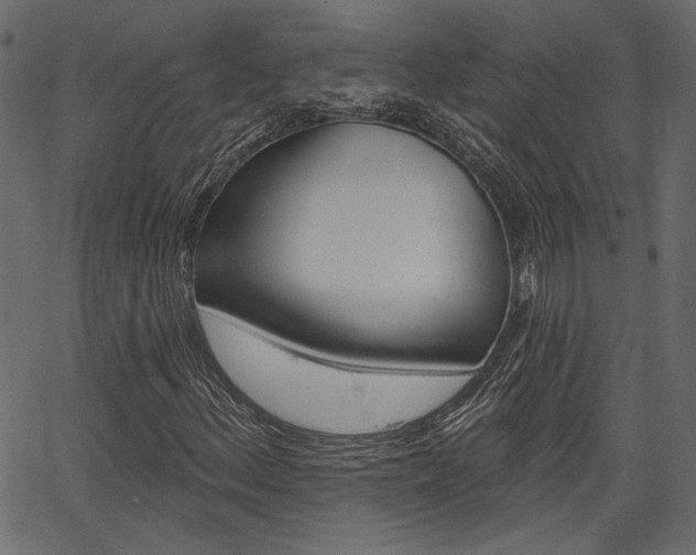 X0000067391156200603310948