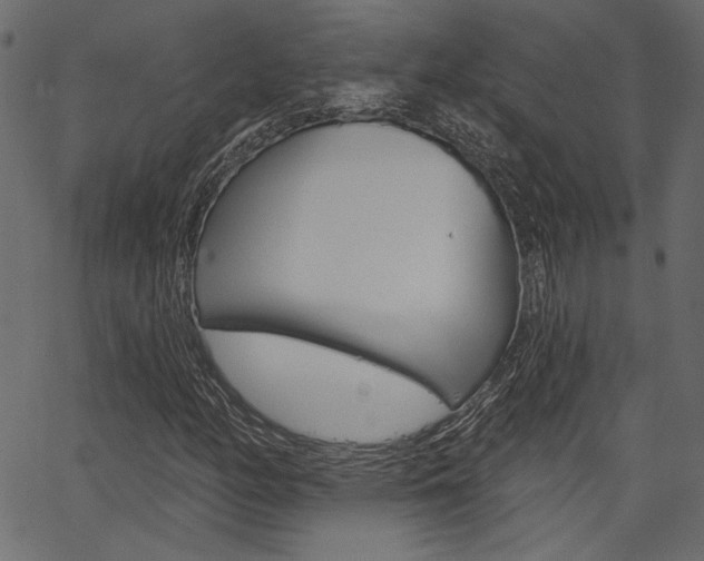 X0000067391158200603310948