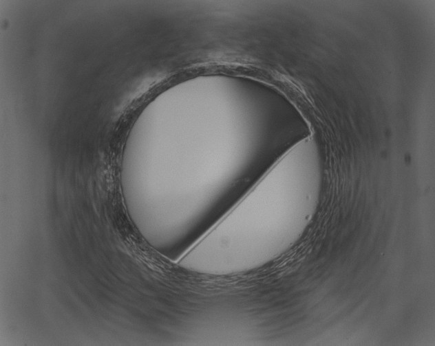 X0000067391159200603310948