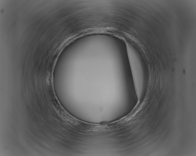 X0000067391161200603310948