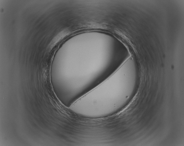 X0000067391163200603310948