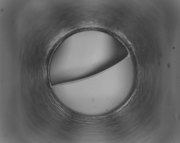 X0000067391167200603310948