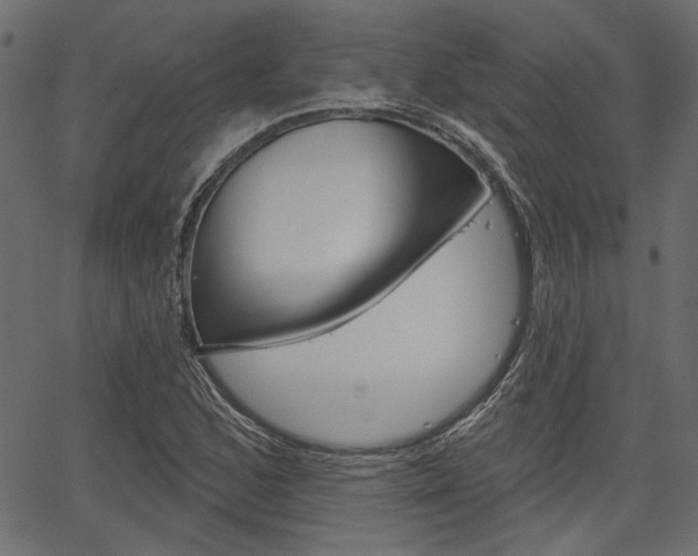 X0000067391168200603310948