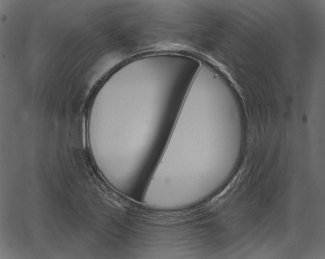 X0000067391171200603310948