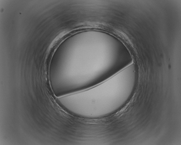 X0000067391172200603310948