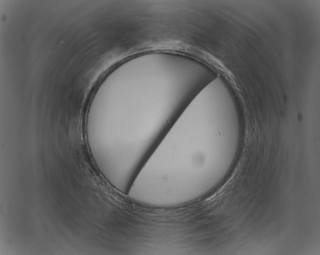 X0000067391174200603310948