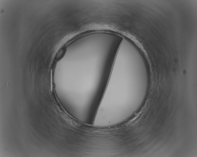 X0000067391175200603310948