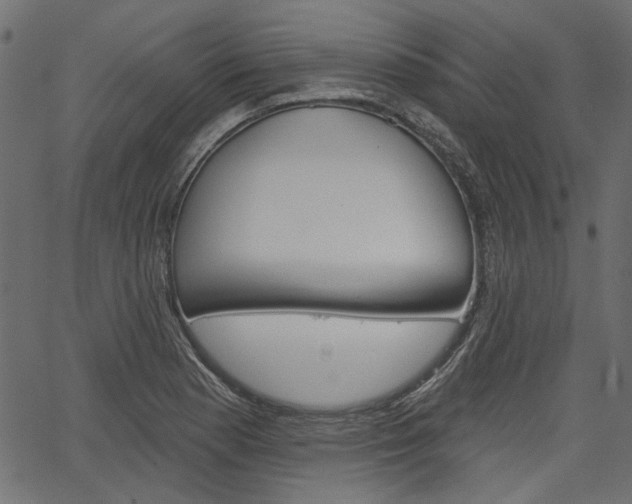X0000067391177200603310948