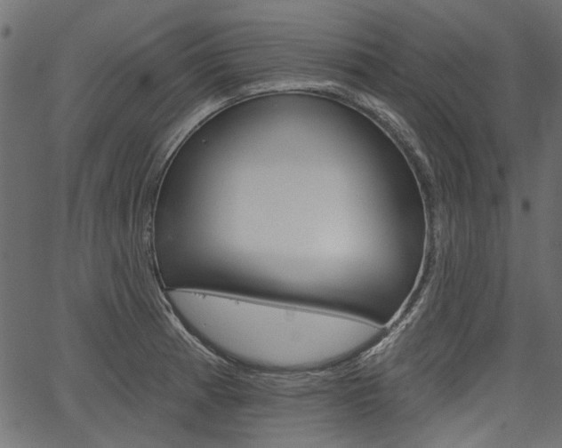 X0000067391185200603310948