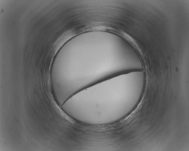 X0000067391194200603310948