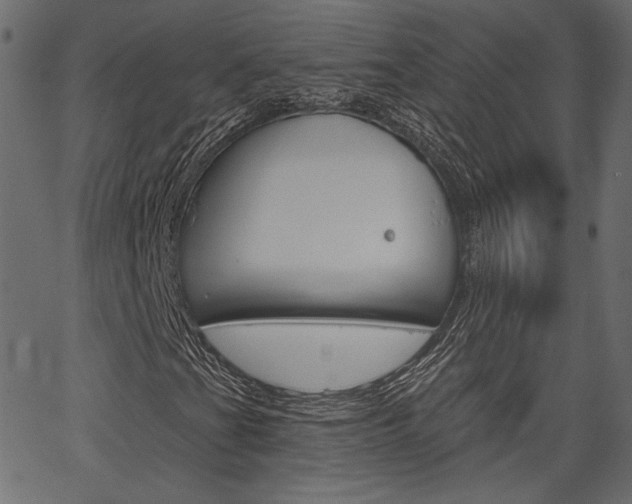 X0000067391201200603310947