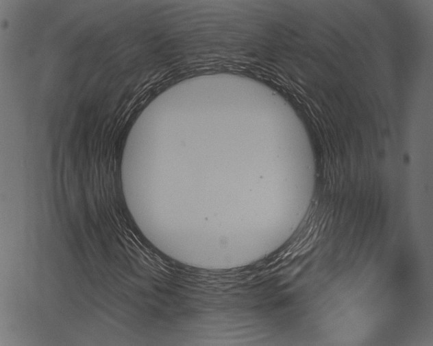 X0000067391202200603310947