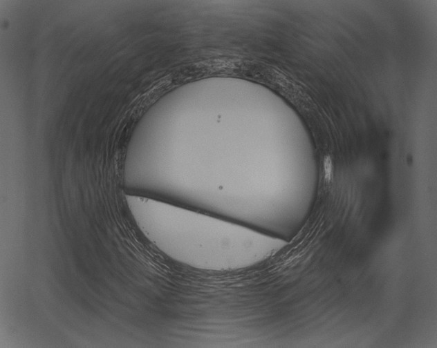 X0000067391203200603310947