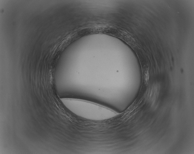 X0000067391204200603310947