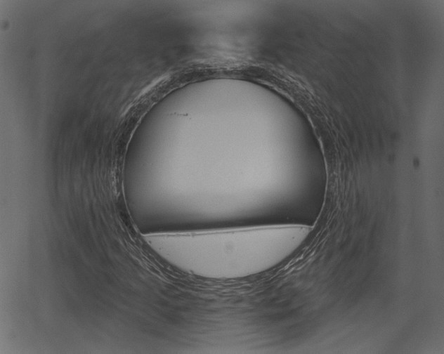 X0000067391205200603310947