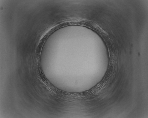 X0000067391208200603310947