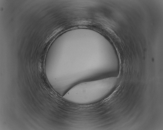 X0000067391209200603310947