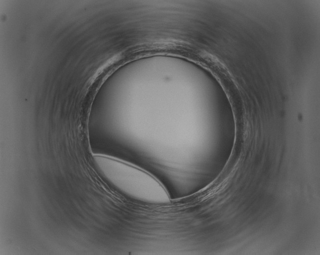 X0000067391210200603310947