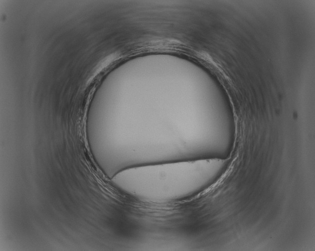 X0000067391211200603310947