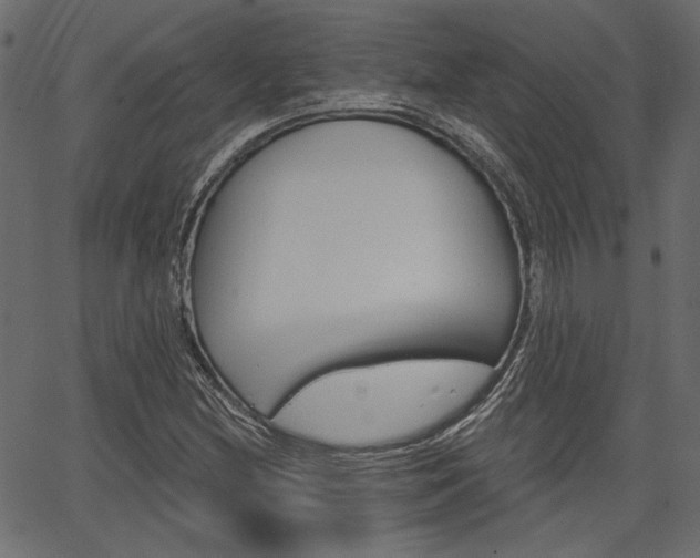 X0000067391212200603310947