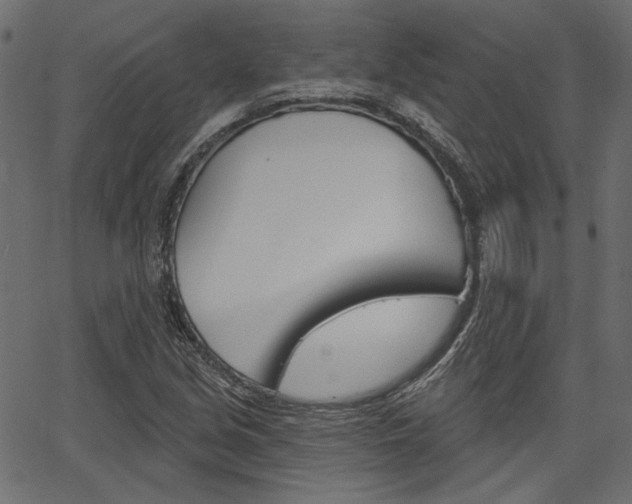 X0000067391213200603310947