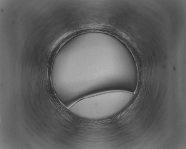 X0000067391214200603310947