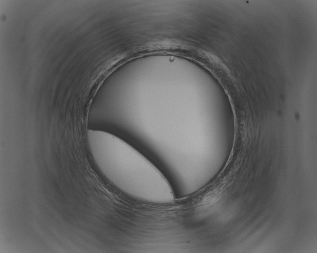 X0000067391217200603310947