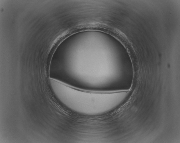 X0000067391218200603310947