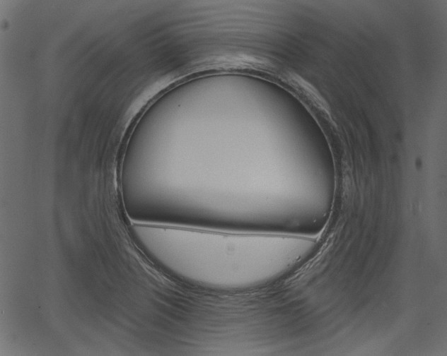 X0000067391226200603310947
