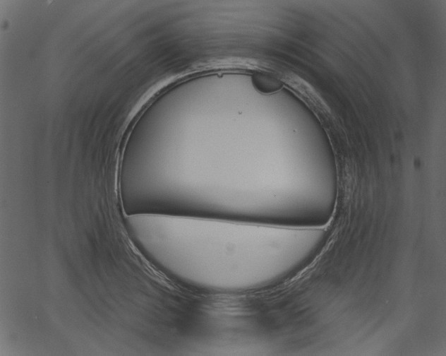 X0000067391228200603310947