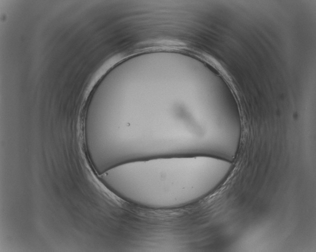 X0000067391243200603310947