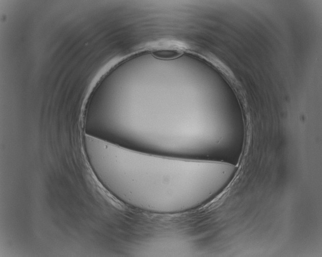 X0000067391248200603310947