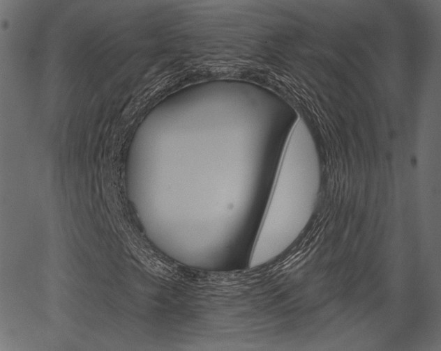 X0000067391249200603310947