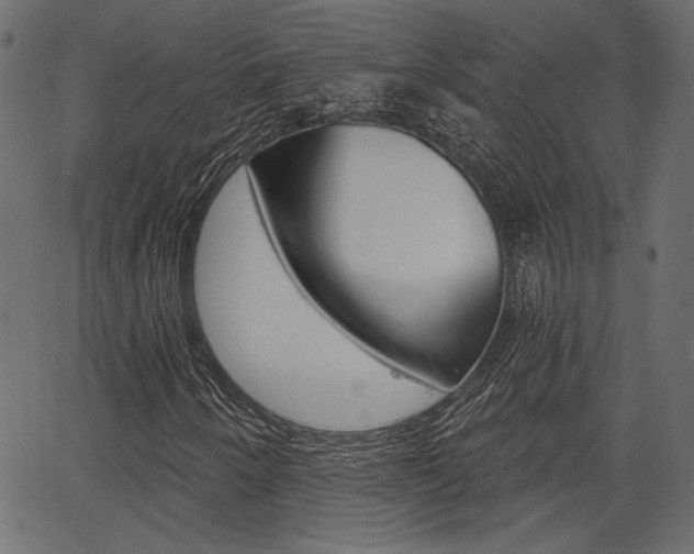 X0000067391250200603310947