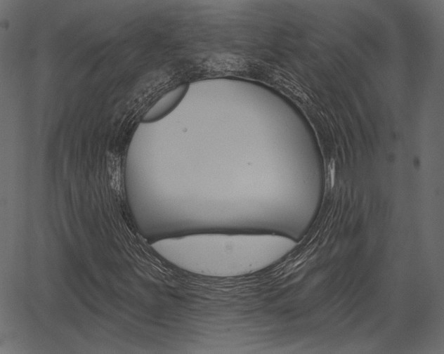 X0000067391251200603310947