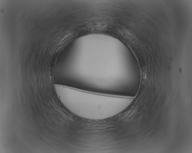 X0000067391252200603310947