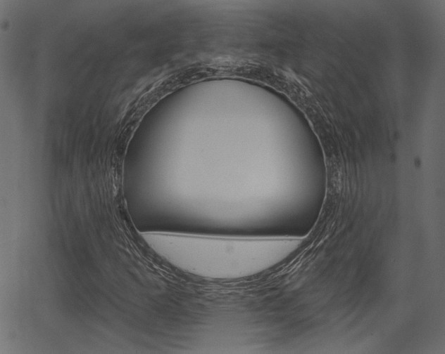 X0000067391253200603310947