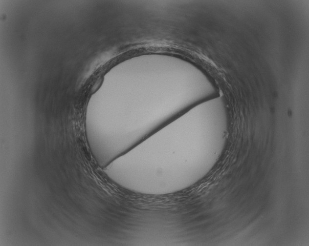 X0000067391255200603310947